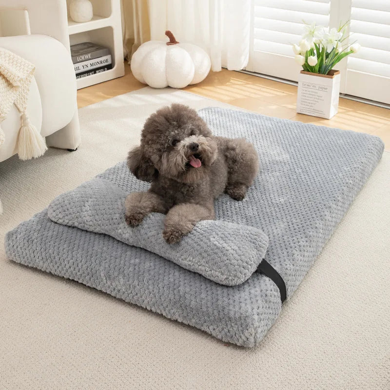 coussin ananas pour chien
