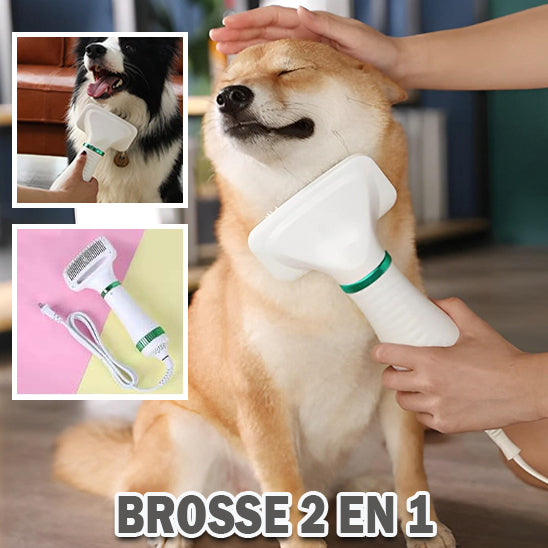 Sèche-cheveux pour animaux|WOOFDRY™
