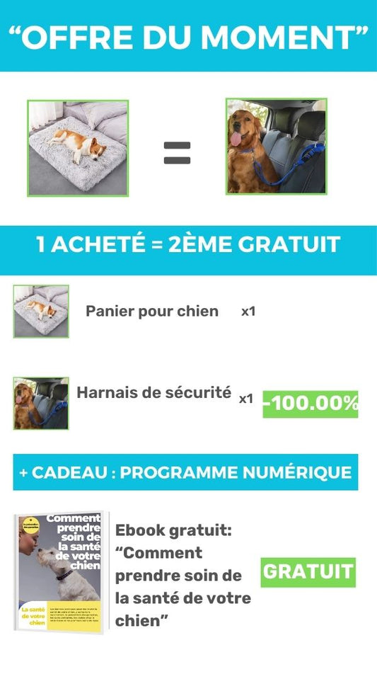 Panier pour Chien en Mousse