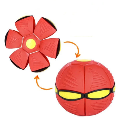 Jouets pour Chiens