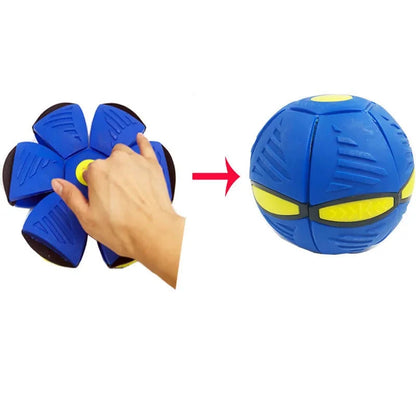 Jouets pour Chiens