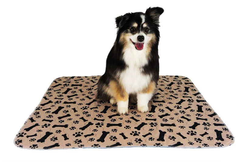 Tapis d'Éveil Lavable pour Chiot | PEE™