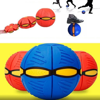 Jouets pour Chiens