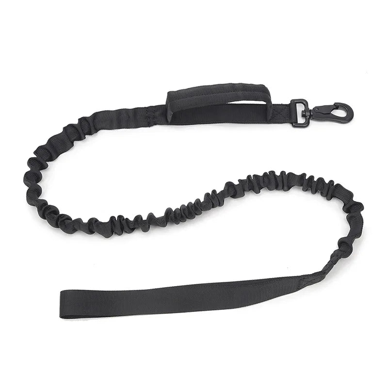 Collier de Chien Durable