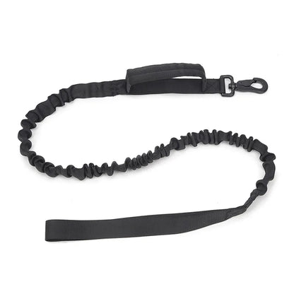 Collier de Chien Durable