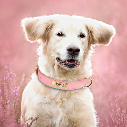 Collier pour Chien Personnalisé |Dog Collar™