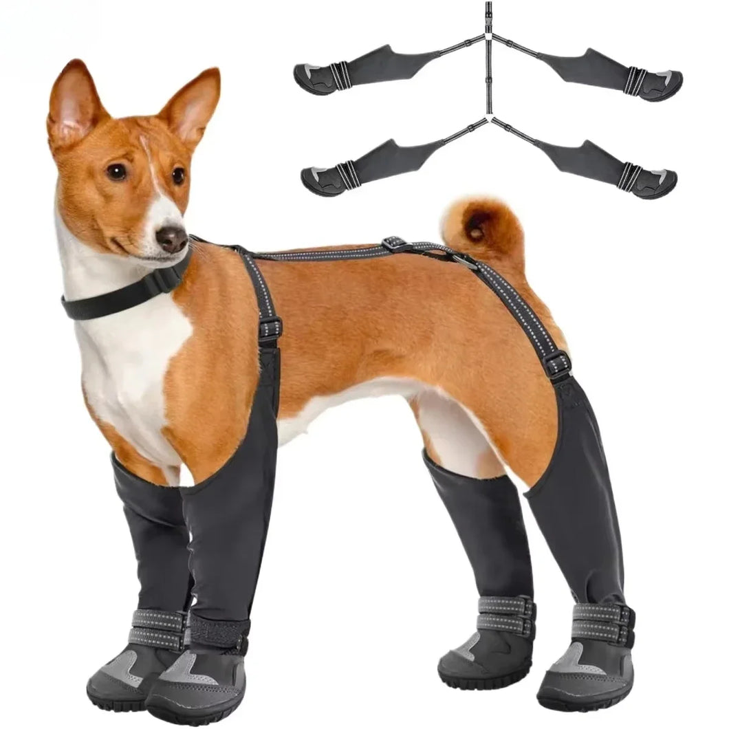 Bottes de pluie pour chien