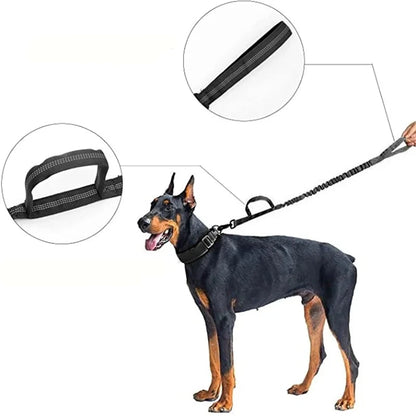 Collier de Chien Durable