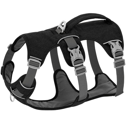 Harnais pour chien reglable