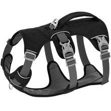 Charger l&#39;image dans la galerie, Harnais pour chien reglable
