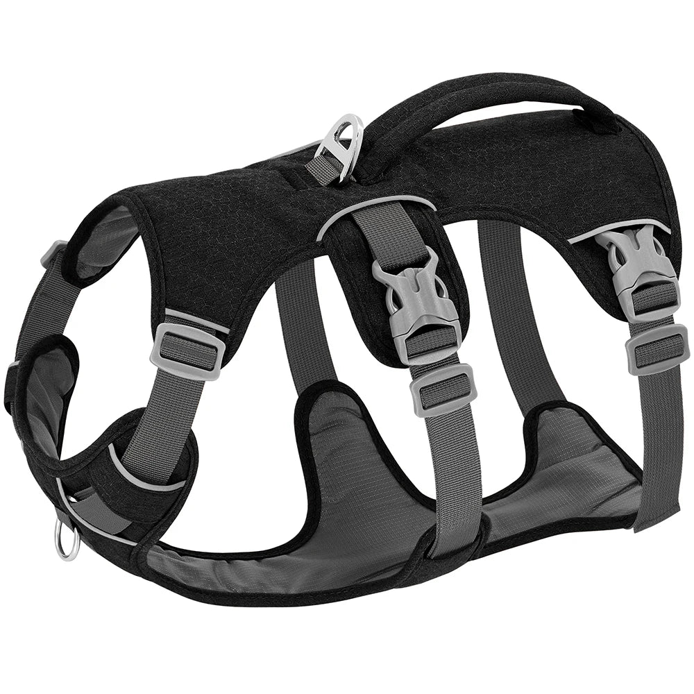 Harnais pour chien reglable