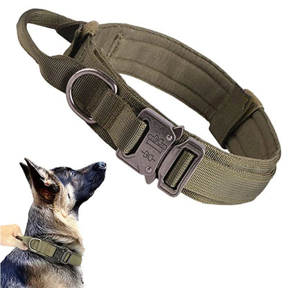 Collier de Chien Durable
