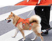 Charger l&#39;image dans la galerie, Harnais pour chien reglable
