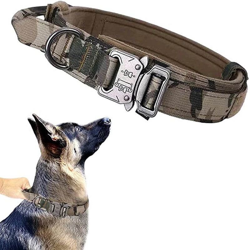 Collier de Chien Durable