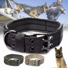 Charger l&#39;image dans la galerie, Collier pour Chien Réglable en Nylon
