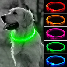 Charger l&#39;image dans la galerie, Colliers Lumineux pour Chiens
