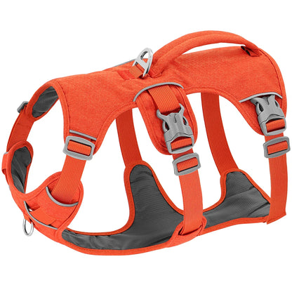 Harnais pour chien reglable
