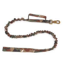Charger l&#39;image dans la galerie, Collier de Chien Durable
