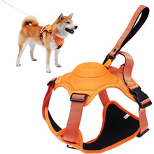 Charger l&#39;image dans la galerie, Harnais pour chien
