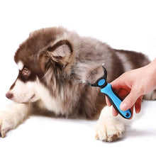 Charger l&#39;image dans la galerie, Brosse pour chien BrushDog
