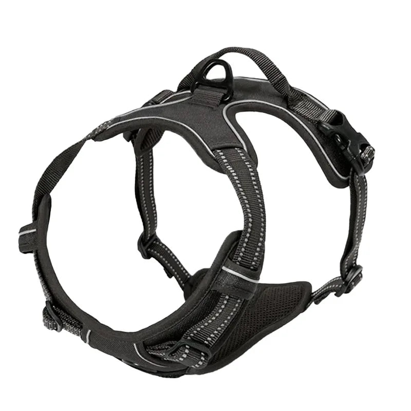 Harnais pour chien sans traction