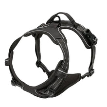 Charger l&#39;image dans la galerie, Harnais pour chien sans traction
