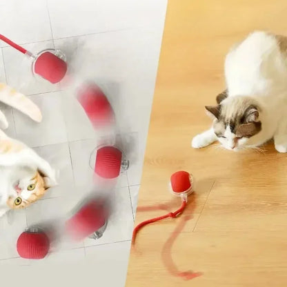 Jouet intelligente pour chien