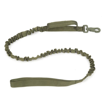 Collier de Chien Durable