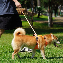 Charger l&#39;image dans la galerie, Harnais pour chien
