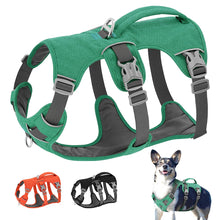 Charger l&#39;image dans la galerie, Harnais pour chien reglable
