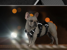Charger l&#39;image dans la galerie, Harnais pour chien reglable
