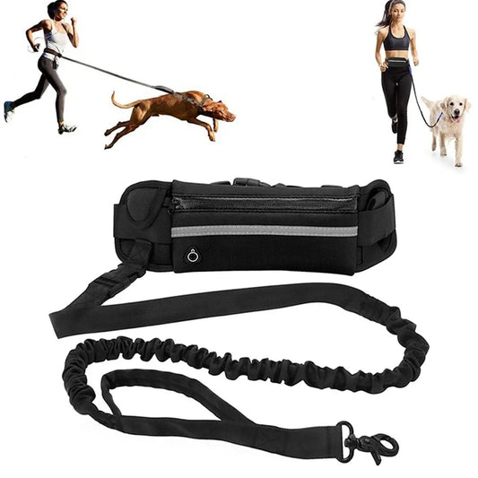 Laisse pour Chien Mains Libres