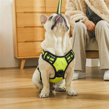 Charger l&#39;image dans la galerie, Harnais pour chien sans traction
