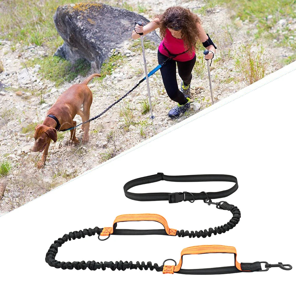 LAISSE RETRACTABLE |DOG LEASH™