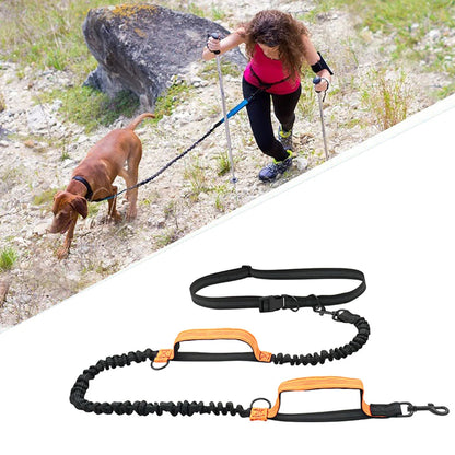 LAISSE RETRACTABLE |DOG LEASH™