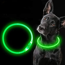 Charger l&#39;image dans la galerie, Colliers Lumineux pour Chiens
