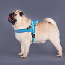 Charger l&#39;image dans la galerie, Harnais pour chien sans traction
