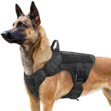 Charger l&#39;image dans la galerie, Gilet de marche pour berger allemand malinois
