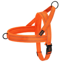 Charger l&#39;image dans la galerie, Harnais pour chien sans traction
