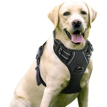 Charger l&#39;image dans la galerie, Harnais pour chien sans traction
