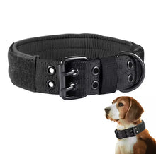 Charger l&#39;image dans la galerie, Collier pour Chien Réglable en Nylon
