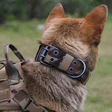 Charger l&#39;image dans la galerie, Collier pour Chien Réglable en Nylon
