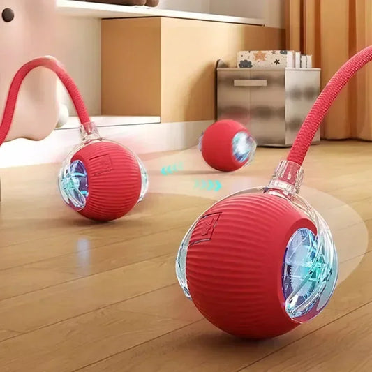 Jouet intelligente pour chien