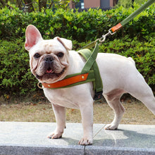 Charger l&#39;image dans la galerie, Harnais pour chien sans traction
