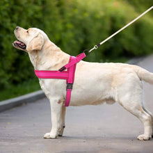 Charger l&#39;image dans la galerie, Harnais pour chien sans traction
