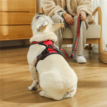 Charger l&#39;image dans la galerie, Harnais pour chien sans traction
