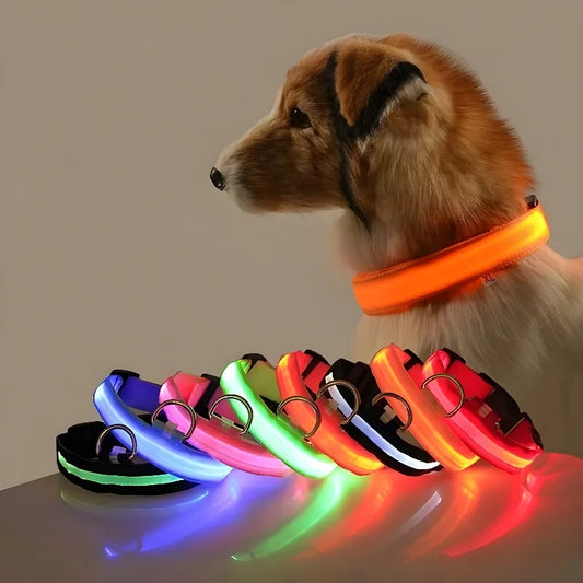 Collier de chien durable