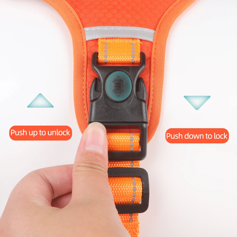 Harnais Chien Anti Traction| DOGSAFE™