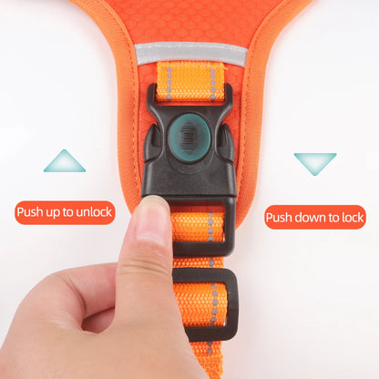 Harnais Chien Anti Traction| DOGSAFE™