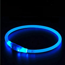Charger l&#39;image dans la galerie, Colliers Lumineux pour Chiens
